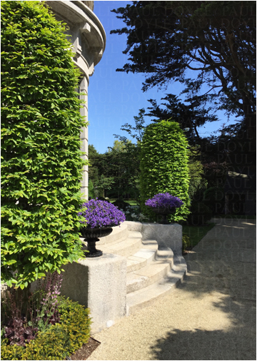 Regent's Garden